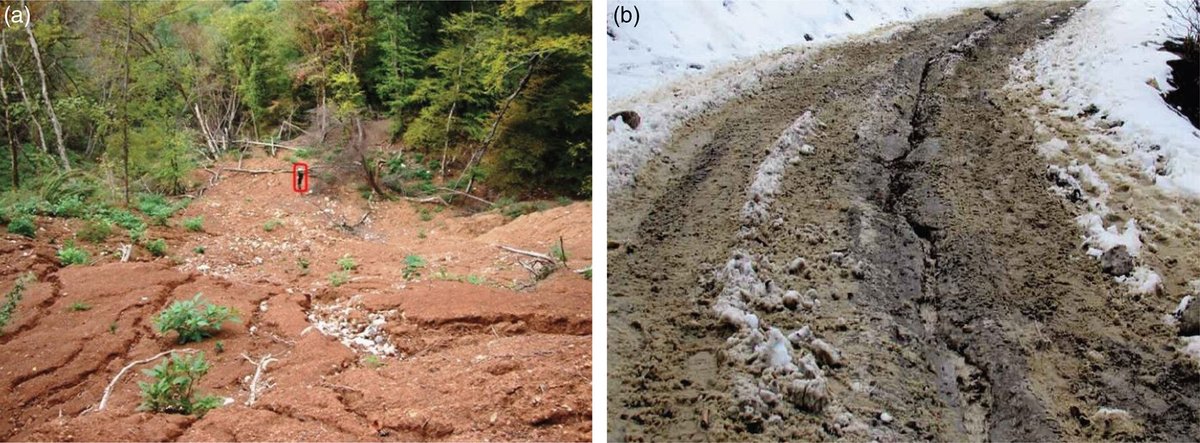 GeolSoc's tweet photo. Gypsum and rice husk ash for sustainable stabilization of forest road subgrade.
Read more in the Lyell Collection https://t.co/xR2lwFPQOf
#SoilStabilization #RoadConstruction #Geology https://t.co/ep5gNIMKsQ