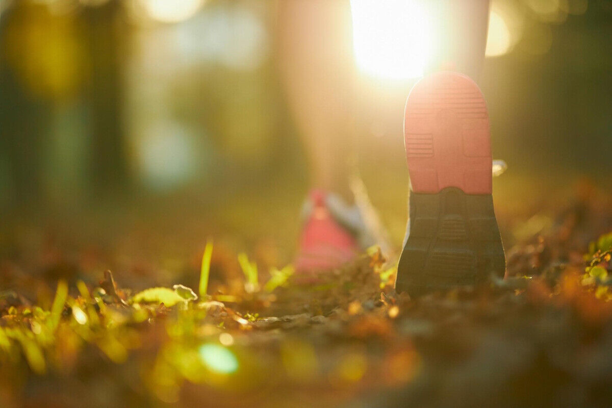 Découvrons le #Gökotta : se réveiller tôt pour s'émerveiller dans la nature 🌳 🌳

Laissez-vous inspirer par cette pratique suédoise 🇸🇪 qui transforme vos matins en moments magiques ! ✨💚 💙

👉bit.ly/3Sc6QE2

#BienêtreMatinal #Rituel #RoutineMatinale #StyleDeVie