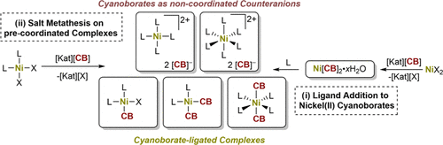 bhkenlo's tweet photo. Nickel(II) Cyanoborates and Cyanoborate-Ligated Nickel(II) Complexes | Inorganic Chemistry https://t.co/1jbZEQVui3 Finze, Radius, and co-workers @InorgChem #nickel #cyanoborates #cyanoborate_ligated #coordinating #noncoordinating https://t.co/tWMAvIP0v1