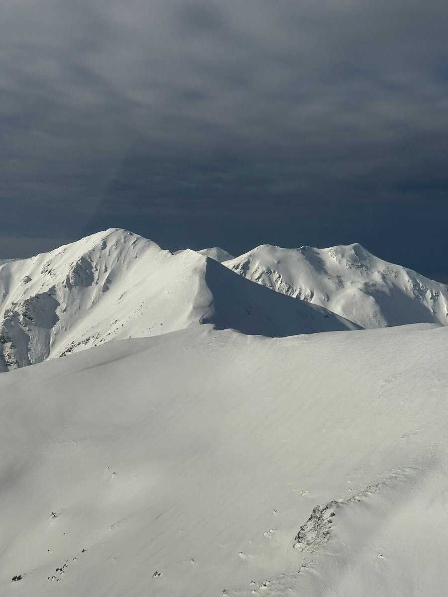 RNP_Romsilva's tweet photo. 📷 Vă spunem bună dimineața din Romsilva - Parcul National Muntii Rodnei
📷 Photos from Rodnei Mountains National Park, in 
#Romania #România #Rodna #MunțiiRodnei #Silvicultură #păduri #forests #parcnational #nationalpark #photo #perisaj #landscape #parkranger #romsilva https://t.co/FPByOR2JAH