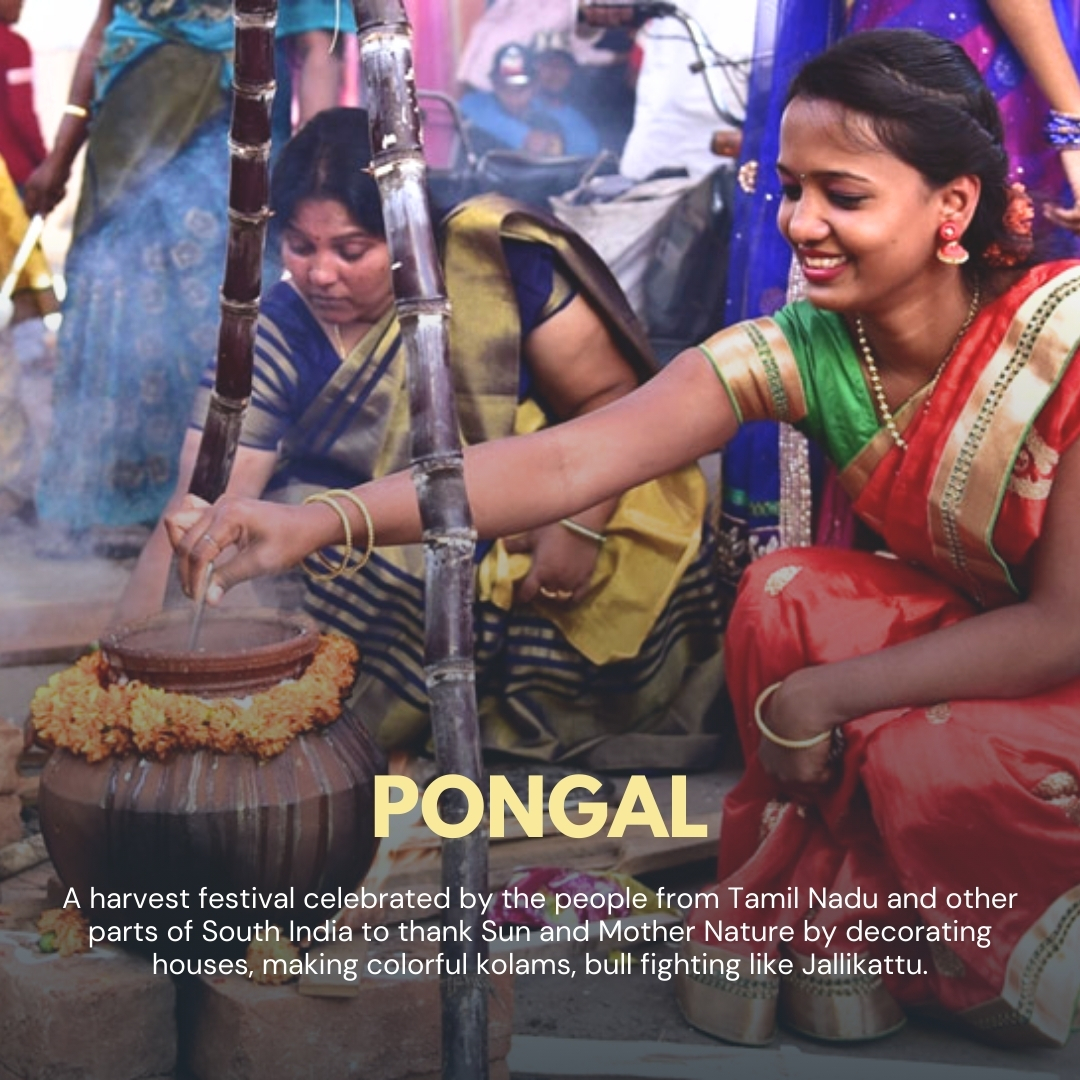 sentrogroup's tweet photo. From #Pongal to #Lohri, #Uttarayan to #MakarSankranti, one harvest, many names, and endless joy!
Swipe through to find out how this harvest #festival is celebrated across #India! Don't forget to tag your friends and share your favorite tradition!
#celebration #sentrogroup https://t.co/RWqmXGZdt5