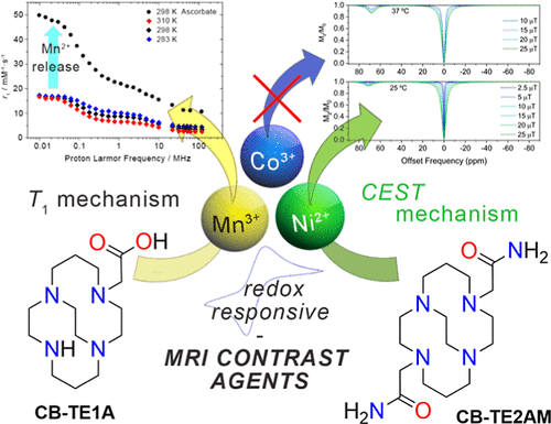 bhkenlo's tweet photo. Endeavor toward Redox-Responsive Transition Metal Contrast Agents Based on the Cross-Bridge Cyclam Platform | Inorganic Chemistry https://t.co/DKapqWdt0l Lalli, Platas-Iglesias, and co-workers @InorgChem #Mn #Co #Ni #cyclam #cross_bridge #contrast_agents #MRI #CEST https://t.co/L5MnfnpnZ3