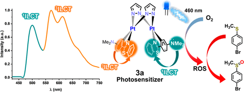 bhkenlo's tweet photo. Phenylbenzothiazole-Based Platinum(II) and Diplatinum(II) and (III) Complexes with Pyrazolate Groups: Optical Properties and Photocatalysis | Inorganic Chemistry https://t.co/8yQn8RBE94 Moreno and Lalinde, and co-workers @InorgChem #platinum #II #III #pyrazolate #luminescence https://t.co/toLvMo2wDX