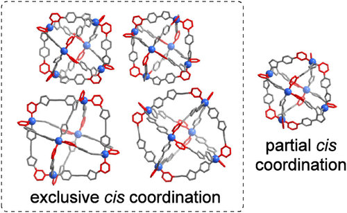 bhkenlo's tweet photo. Orientational Self-Sorting in Octahedral Palladium Cages: Scope and Limitations of the “cis Rule” | Inorganic Chemistry https://t.co/R5i3ZMGtD5 Severin and co-workers @InorgChem #palladium #octahedral #self_sorting #cages #cis_rule https://t.co/aJ01p4IS2A