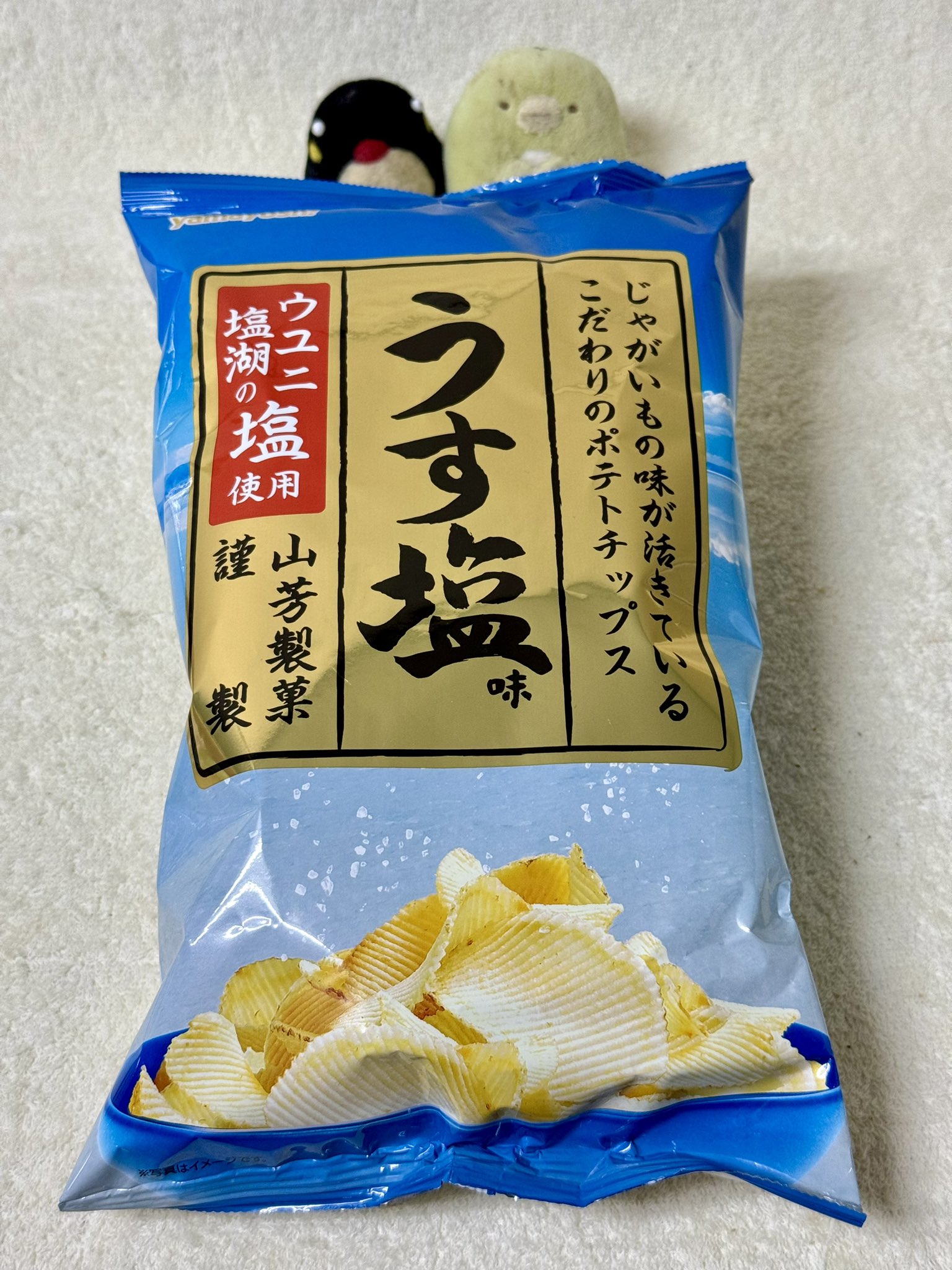 ポテチ塩味 やさぺん on X: 