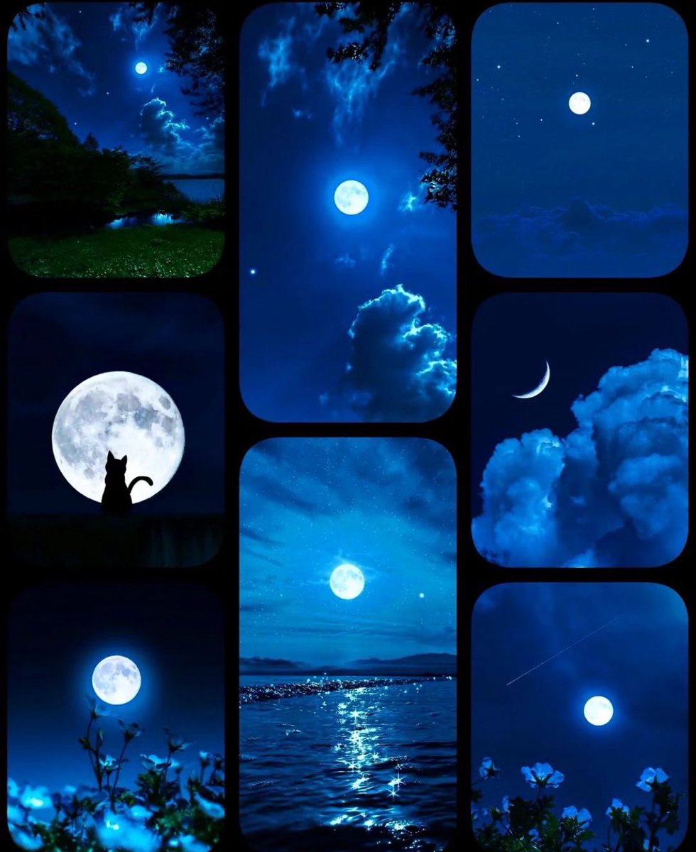 M1ONLOVER's tweet photo. Blue Moon https://t.co/FcO2mWXmNq