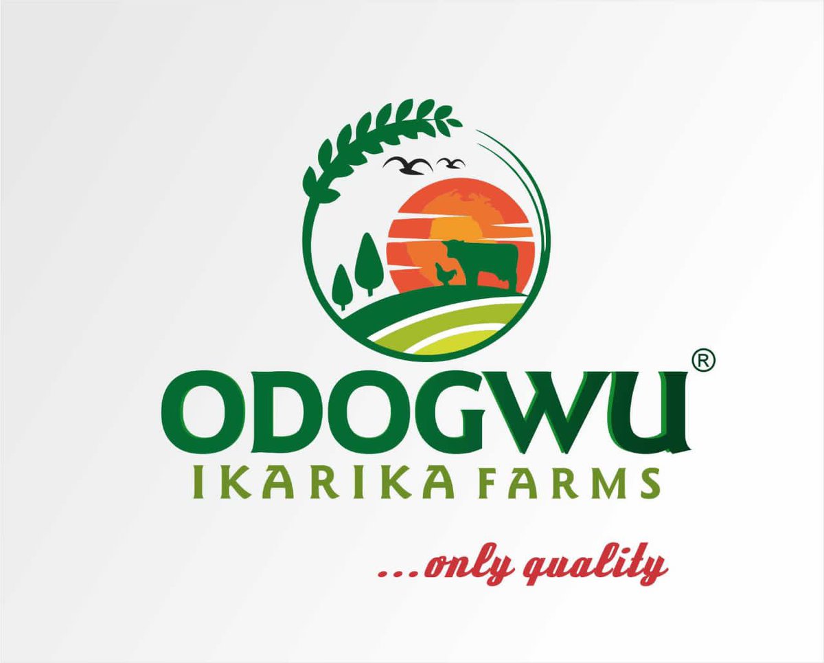 realmrcoi's tweet photo. Ladies and gentlemen! Behold!! ODOGWU IKARIKA FARMS. #FARMERSFEEDTHENATION #NEWBRANDALERT💪🏼🖤💜 https://t.co/xdii7rEGrJ