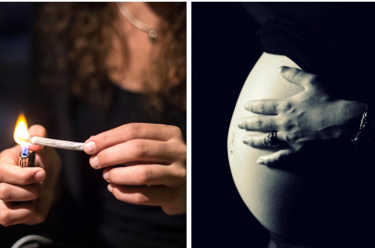 Tidningen Accent tweet media