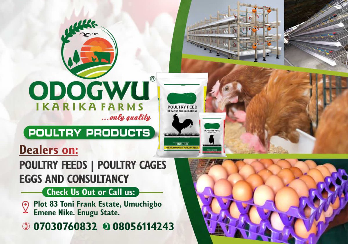 realmrcoi's tweet photo. Ladies and gentlemen! Behold!! ODOGWU IKARIKA FARMS. #FARMERSFEEDTHENATION #NEWBRANDALERT💪🏼🖤💜 https://t.co/oRgu95iVvd