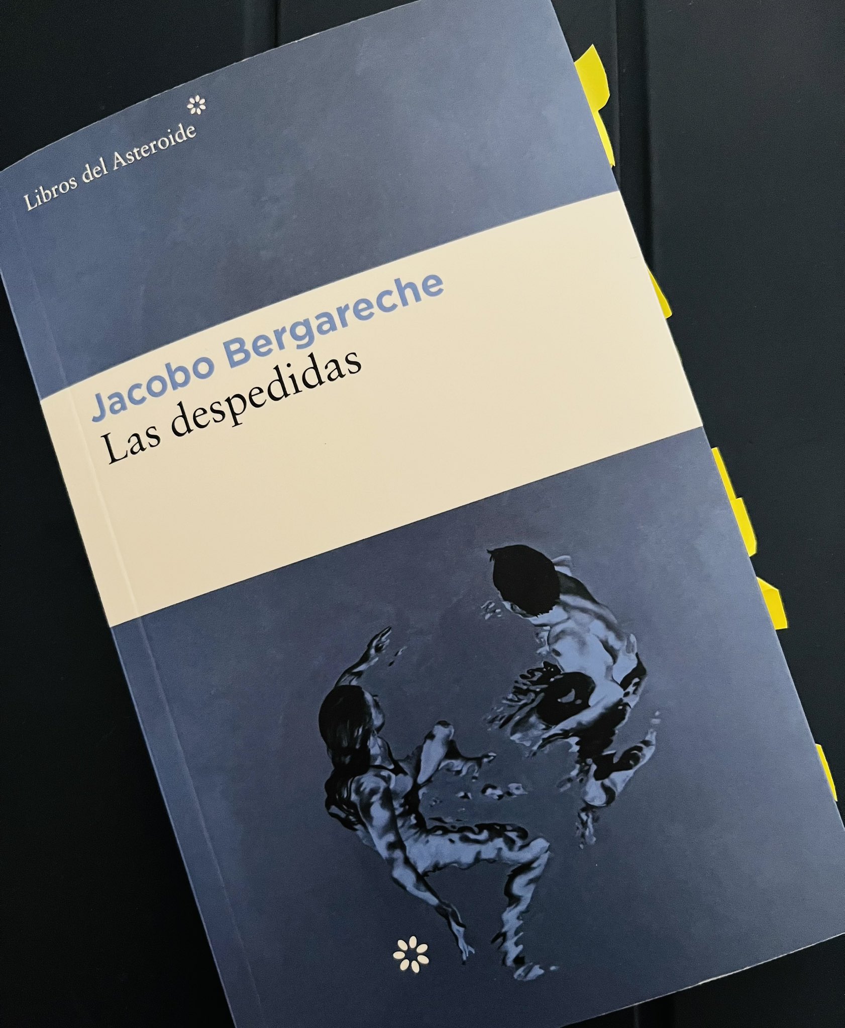 📻📲 🎧📑 Andoni Orrantia on X: 📚#Libro  Cola de lectura «Las despedidas  tienen que ser cortas, las bienvenidas largas». ✍🏻 'Las despedidas'  (2023), de Jacobo Bergareche en @LibrosAsteroide. Una emocionante historia