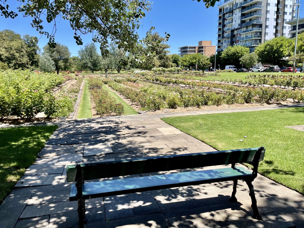 The perfect spot to sit & eat my lunch on my #Adelaide walk today. A hot day ☀️ 36C / 96F. We usually get way more hot days in Summer than we have this one so far. Have the best finish to your week & weekend! Keep moving forward & run well.