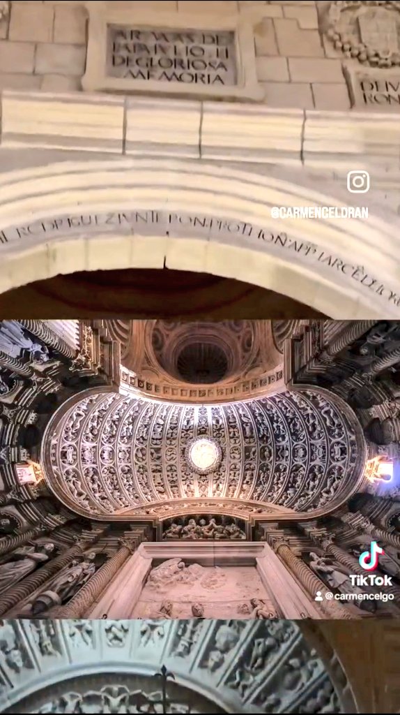 #ConexionesVitales tweet media