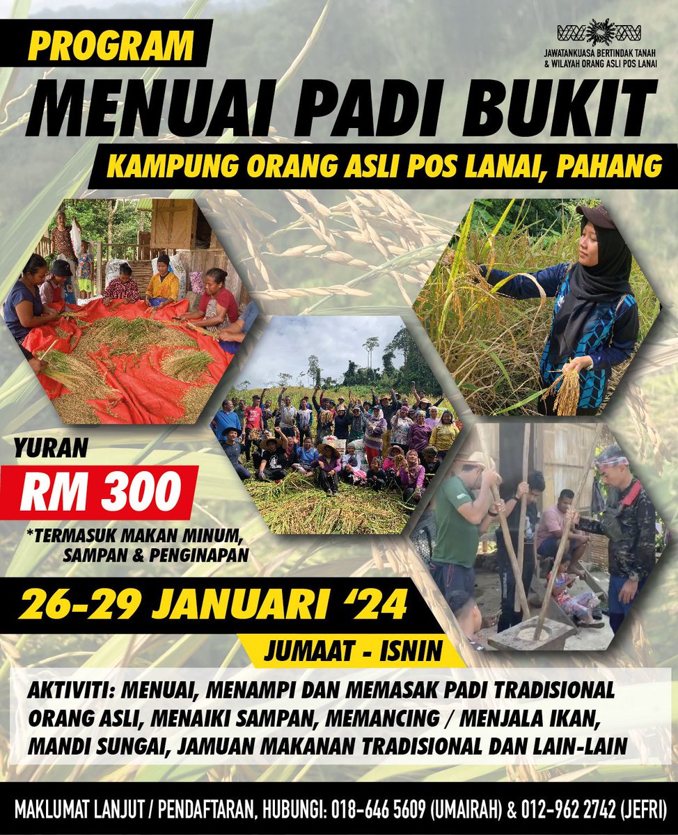 ShaqKoyok's tweet photo. *PROGRAM MENUAI PADI DI KG ORANG ASLI POS LANAI*
Tarikh: 26-29 Januari 2023 (Jumaat - Isnin) Yuran: RM 300 (deposit RM 100)
Anjuran: Penduduk Orang Asli, Pos Lanai, Pahang.
Sila buat deposit ke akaun wakil Orang Asli:
Bank Simpanan Nasional
0600641000091556
Shahirah Binti Hasan https://t.co/lA80ehWjk7