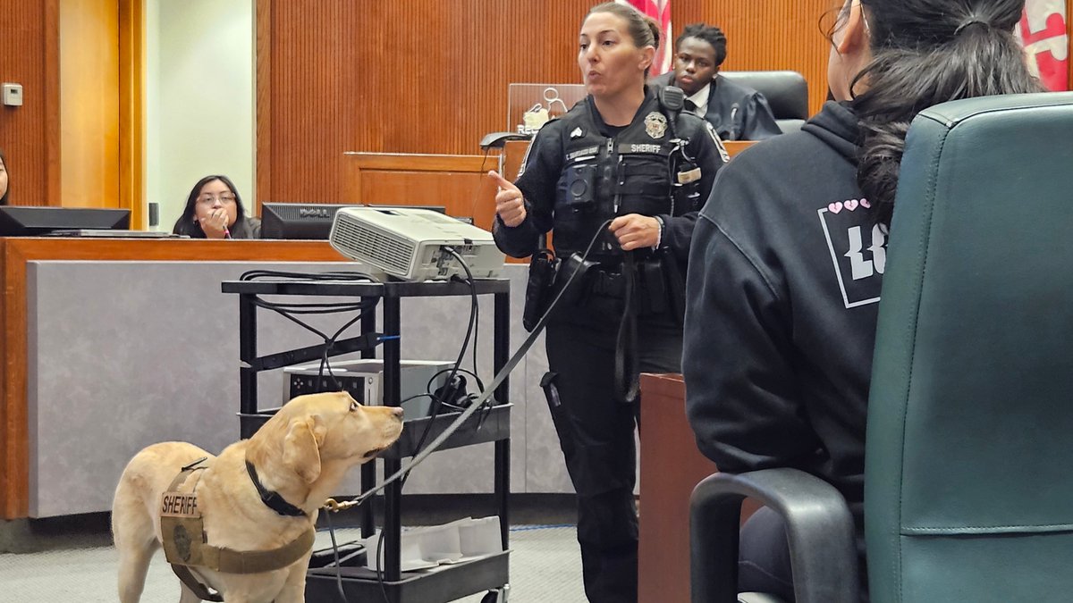 LowerthebarPols's tweet photo. We closed the Mock Court activity by meeting with a sheriff &amp; a support dog. @montgomerycoll students shared questions &amp; smiles learning about the calming functions of a support dog during especially difficult court cases. https://t.co/idZRwQ8XGl