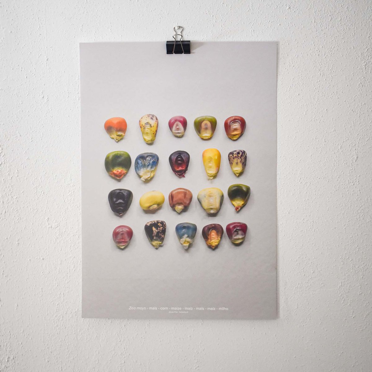 Jonas Frei tweet media