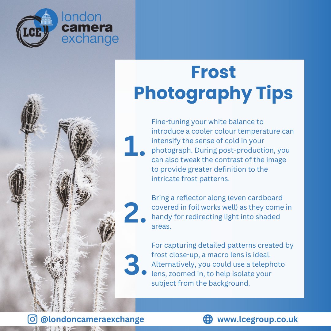 Chilly air is sweeping across the UK so it's time to gear up for the ultimate frosty photoshoot! ❄️

Here's our top 3 tips for frost photography 📸

What are your tips?  Let us know in the comments below 💭

#FrostPhotography #PhotographyTips #LondonCameraExchange