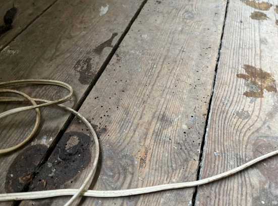 calsurv's tweet photo. A few elements identified for further investigation and repair which could lead to more serious and costly issues if left untreated... woodboring beetle infestation, cracked sub-surface drainage pipes and blocked rainwater gullies!

#HomeSurvey #Property #London https://t.co/YWjfQr25hk