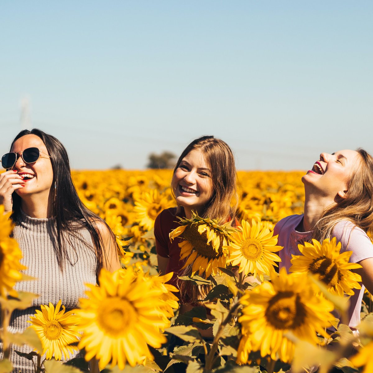Éclats de rire et pétales de bonheur pour illuminer votre journée ! 😄🌼
Aux Floralies Internationales, on pense que le rire et les fleurs sont la meilleure recette pour une journée éblouissante. 🌈
Qu'en pensez-vous ? 🌸
#Fleurs #Rire