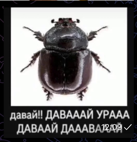 Денис Попов tweet media