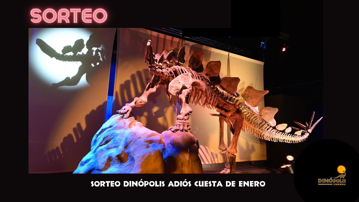 Dinópolis Teruel tweet media