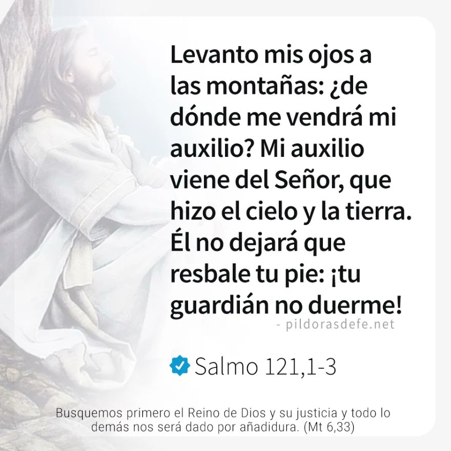 elcuradetodos's tweet photo. Necesitamos ser valientes para continuar con nuestra misión en tiempos adversos.
El miedo no nos detendrá porque Dios está de nuestro lado. En Él confiamos.
#SoloDiosBasta #YoConfío #QueDiosTanBueno https://t.co/VdxzTdr9M9
