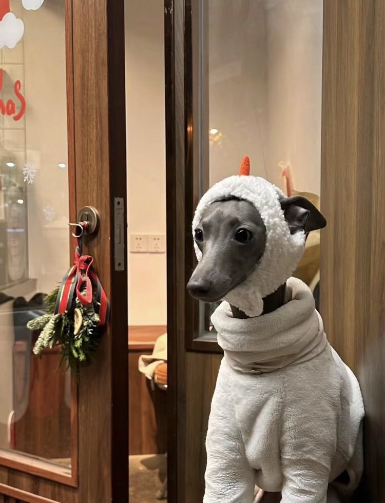 TOBDYT's tweet photo. 이것도 너무 멋있죠 나는 여전히 여름을 비교적 좋아하는 것 같다 🐶 https://t.co/qwVY0XugVT