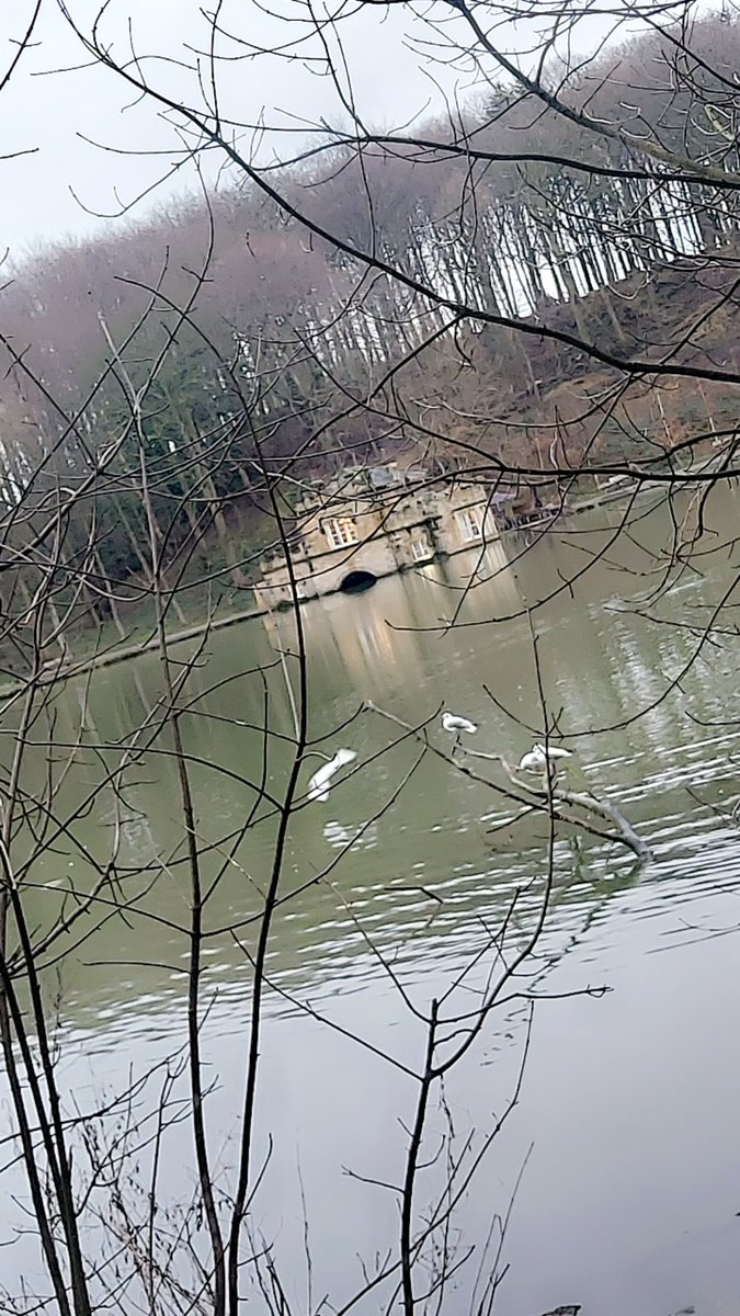 Lovely couple of laps round a very muddy Newmillerdam this morning to cleanse the soul before another regrettable life choice tonight, picking up a Bank shift on my old ward 😂