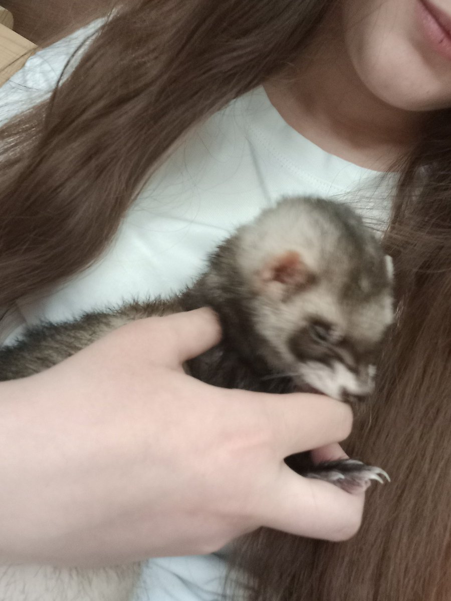 рест `࣪ ִֶָvesta ˗ˏ´`•⩊•´`ˎ˗ tweet media