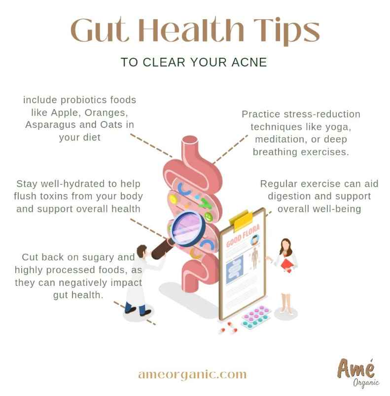 🌟 Understanding Gut Health and Acne 🌟

🌱 Gut Health:
The gut is home to trillions of microorganisms, including beneficial bacteria that play a crucial role in digestion and overall well-being.
#GutHealth #guthealing #gutaxis #gutskinconnection #acne #howtocureacne #skincare