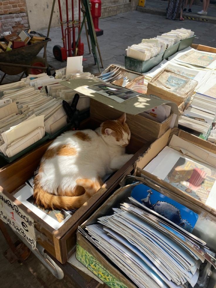 obrimllibreries's tweet photo. Parlem del plaer de la lectura al sol de l'hivern ☀️ https://t.co/ilmZbUd5aZ