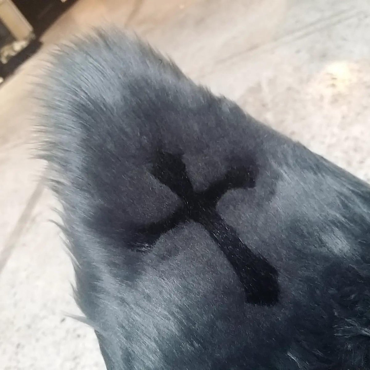 BlackSticky Official tweet media