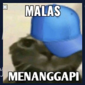 mira check pinned📌 tweet media
