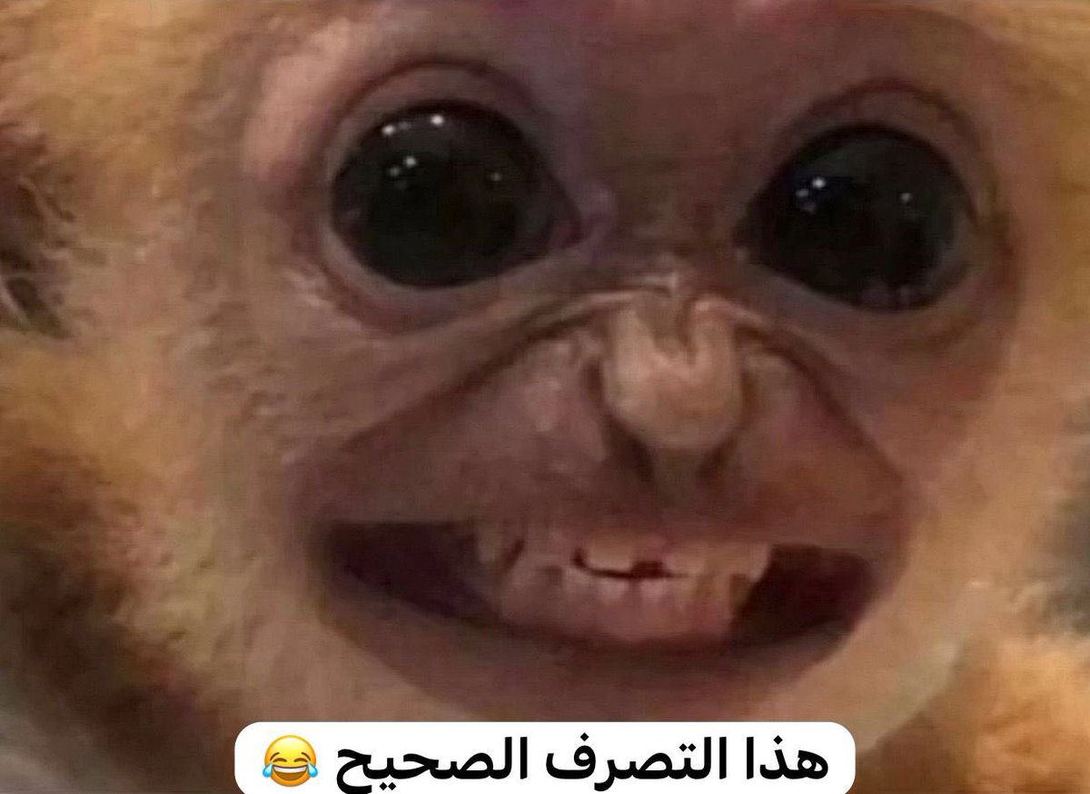 ‏ فالكون (@ifalcon10) on Twitter photo 