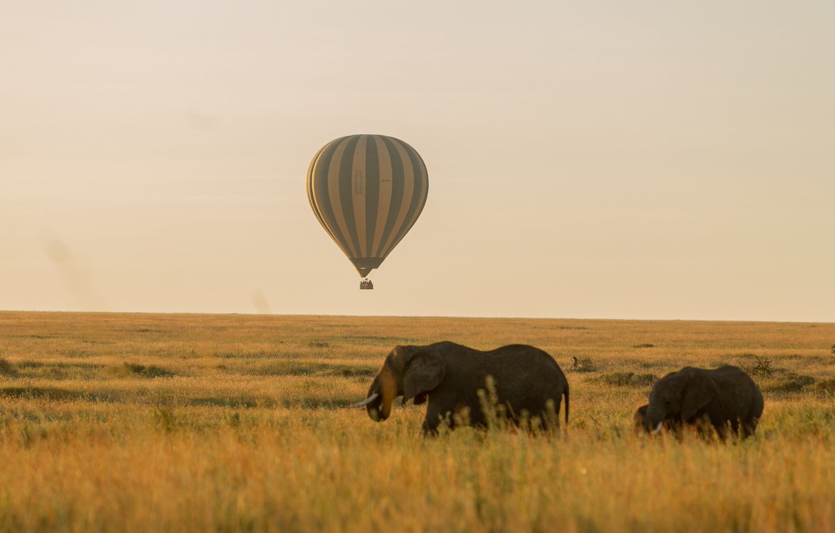 Our Nairobi to Mombasa Safari Packages offer the adventurous an opportunity to explore some of our top tourist destinations en route from Nairobi to Mombasa. This allows you to enjoy viewing a variety of wildlife, landscapes, and ecosystems. #nairobisafari #adventuretravel