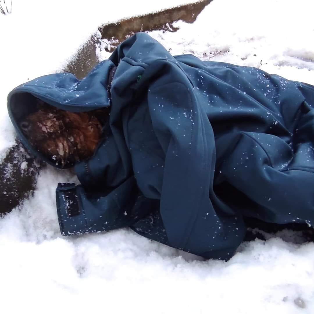 Warto podać dalej.

"8 stycznia rano na terenie województwa opolskiego przy wieździe na autostradę został wyrzucony pies. Obok leżała torba w której być może został zostawiony przez....człowieka (o którym bardzo trudno mówić mi człowiek.
Pies przeżył dzięki interwencji pracownika