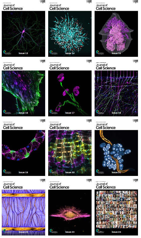 focalplane_jcs's tweet photo. #JustforFun: We’ve been lucky enough to have fabulous cover images on @J_Cell_Sci in 2023. We’d like to take one more opportunity to celebrate these images and the research behind them. We invite you to pick your favourite cover here: https://t.co/cAbalafdkx https://t.co/3CCA2v0C8U