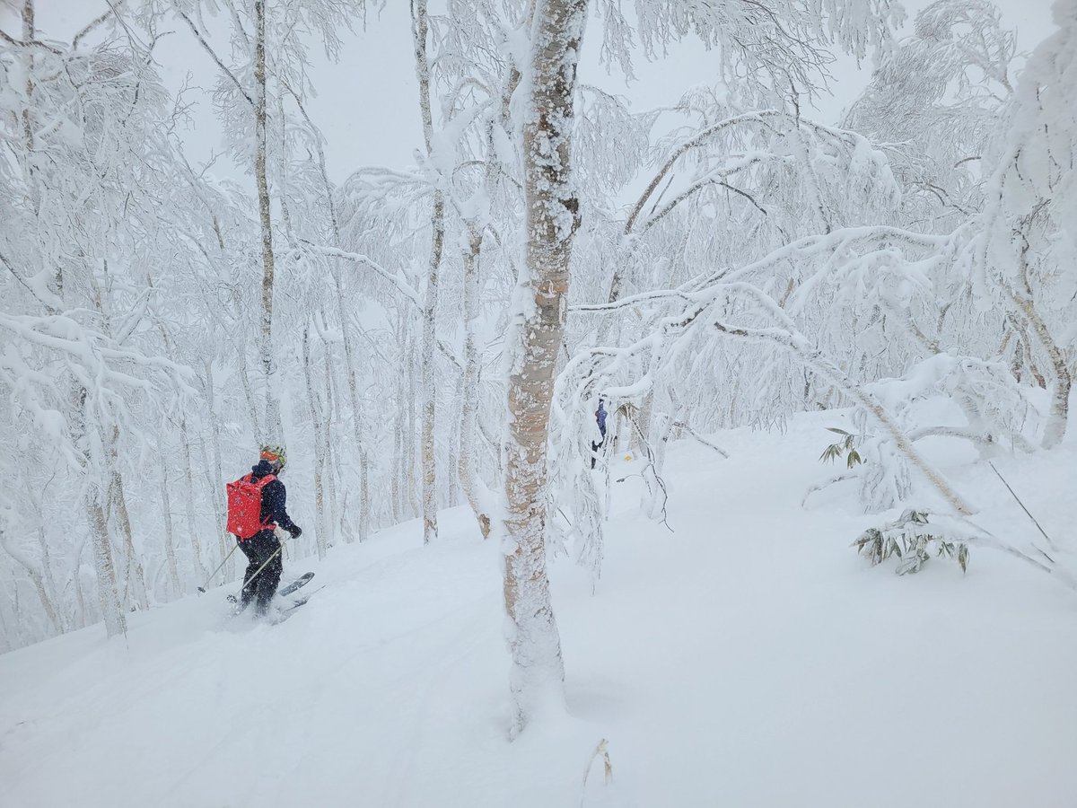 Calum Muskett tweet media