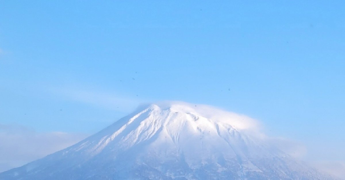 Calum Muskett tweet media