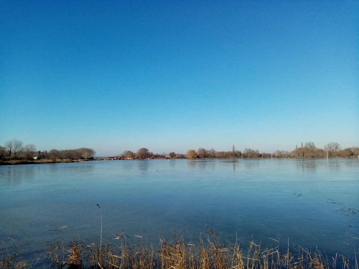 JulienPoix's tweet photo. đ”Aux cĂŽtĂ©s des habitants et Ă©lus de l'Audomarois victimes des inondations.
âĄïžĂ #SaintOmer et #Clairmarais la reconstruction sera longue. Un maraĂźcher bio nous explique avoir perdu 500 000 euros de rĂ©colte, son matĂ©riel est dĂ©finitivement inutilisable. L'aide doit ĂȘtre rapide. https://t.co/Tt22e5XGDr