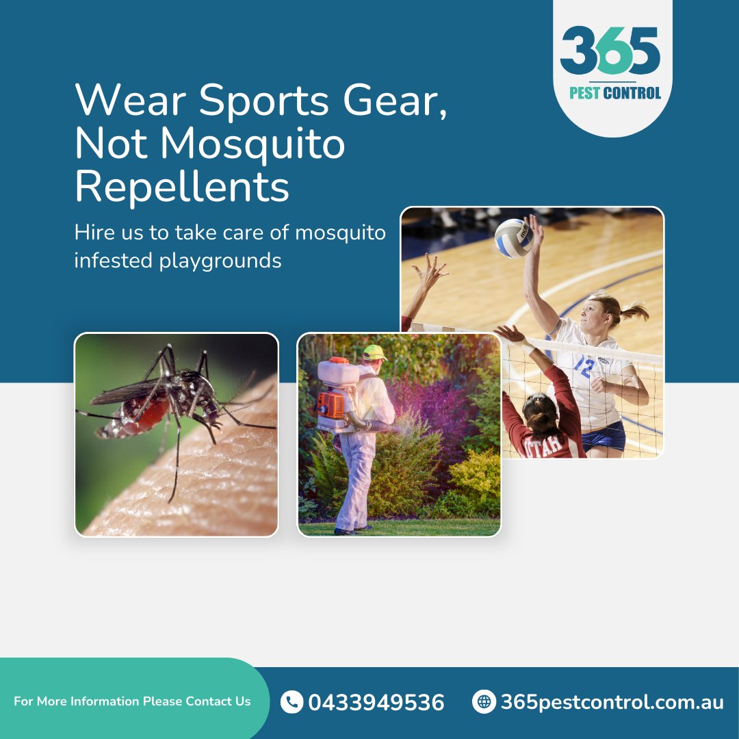 Wear Sports Gear, Not Mosquito Repellents
Hire us to take care of mosquito infested playgrounds

Call us today @ 0433949536
Go to: 365pestcontrol.com.au/pest-solutions…

#pestcontrol #pestcontrolservice #pest #mosquitopestcontrol #mosquito #mosquitopest #pestcontrolservicemelbourne #melbourne