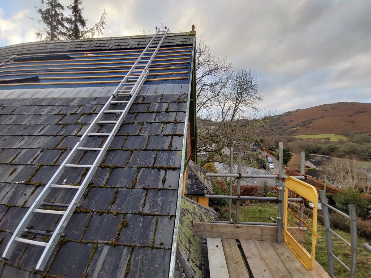 The Bazeley Partnership tweet media