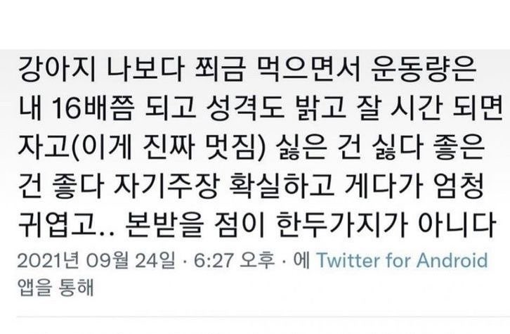 부아C (@richdad_c) on Twitter photo 