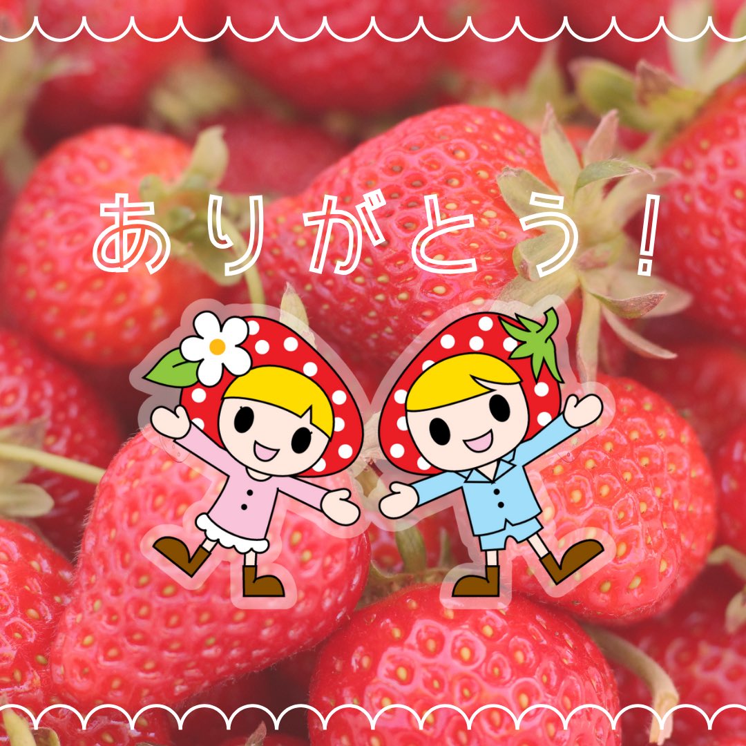 takagi_village's tweet photo. お友だちのみんなへ

心のこもった年賀状をありがとう！
お返事を書くから待っててね。
たかぎ村のいちごがりがもうすぐはじまるよ、遊びに来てね！
🍓ベリー&amp;ゴーより🍓

#喬木村　#南信州　#長野県
#ベリーアンドゴー　
#喬木村のいちご狩り　#いちご狩り
#いちご　#おでかけ https://t.co/rjeHxExnLa