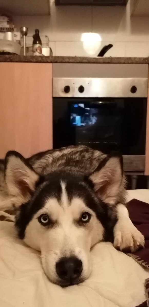 L'amor i la felicitat per fi han entrat de ple a les nostra llar..💓🐺💓

Mil milions de gràcies preciosa meva per haver aparescut a les nostres vides..💓🐺💓

Sempre en els nostres cors..💓🐺👫🏻
#PepaWolf
<a href="/icaladero/">Ica Ladero 😜</a>