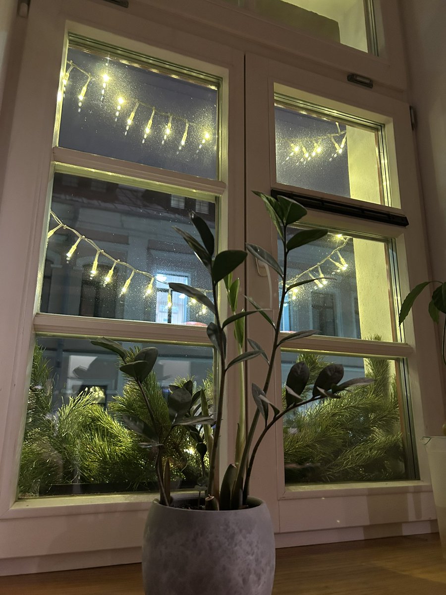 ян🇺🇦 tweet media