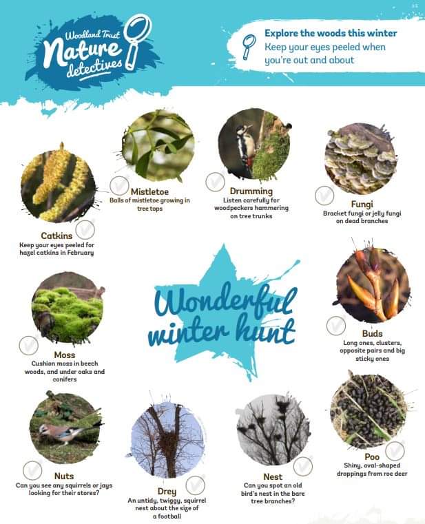 Bring the kids along to Shipley Country Park for a wonderful winter hunt! You can download an activity sheet from here: ow.ly/e10150Lr13a <a href="/Shipley_Park/">Shipley Country Park</a>