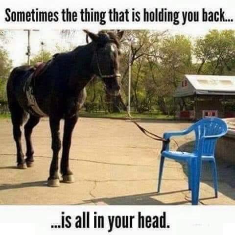 james_tuckerman's tweet photo. Yep, we all live in our own ‘reality boxes’. Time to giddy up! https://t.co/QeqAW4nM8f