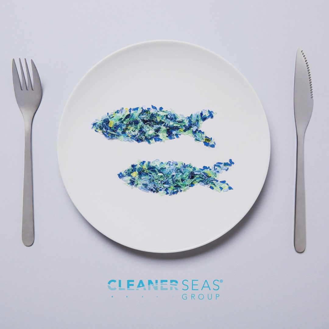 CleanerSeasGroup™️ (@cleanerseasgp) on Twitter photo 🚨NEW STUDY: <a href="/OurOcean/">Ocean Conservancy</a> and the <a href="/UofTTrashTeam/">U of T Trash Team 🦝</a> find microplastics in 90% of protein samples including seafood, pork, beef, chicken, tofu and plant-based meat alternatives.
oceanconservancy.org/news/its-not-j…
#OceanPollution
#OceanConservation
#MicrofibrePollution
#CleanerSeas 🚨NEW STUDY: <a href="/OurOcean/">Ocean Conservancy</a> and the <a href="/UofTTrashTeam/">U of T Trash Team 🦝</a> find microplastics in 90% of protein samples including seafood, pork, beef, chicken, tofu and plant-based meat alternatives.
oceanconservancy.org/news/its-not-j…
#OceanPollution
#OceanConservation
#MicrofibrePollution
#CleanerSeas