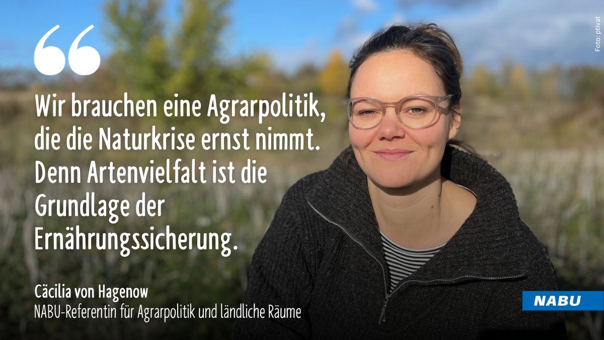 Nur eine ökologischere & bäuerliche Landwirtschaft ist die Basis für ein umweltverträgliches und krisenfestes Ernährungssystem, das alle Menschen sicher mit gesunden Lebensmitteln versorgen kann.

Daher: @WirHabenEsSatt2-Demo am 20. Januar in Berlin ➡️ nabu.de/news/2023/12/3…