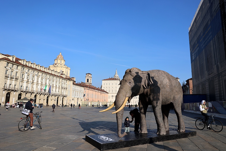 🐘In p.zza Castello l’elefante Fritz annuncia la riapertura del Museo Regionale di Scienze Naturali.
L'apertura al pubblico del MRSN sarà da sabato 13 gennaio.

👉Info e prenotazioni: comune.torino.it/eventi/calenda…
#mrsntorino <a href="/TurismoTorino/">Turismo Torino</a> #torinotheplacetobe #torino